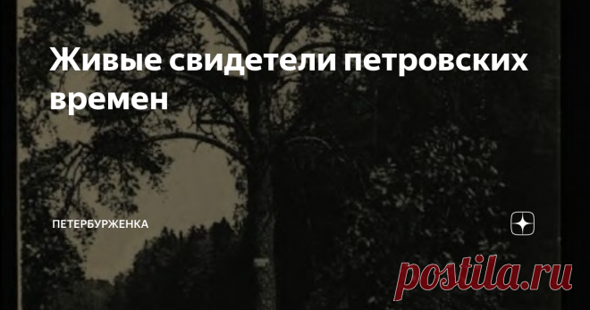 Живые свидетели петровских времен В Петербурге можно увидеть живых реликтов начала 18 века.