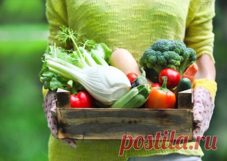 Такие полезные овощи: 15 классных рецептов - KitchenMag.ru