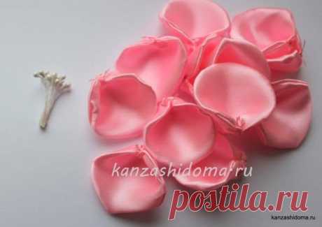 Kurdela Dünyası - Фото | Facebook