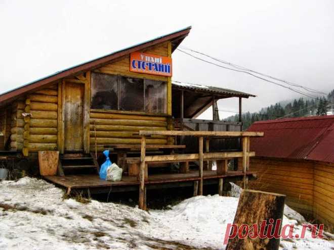 Архив альбомов