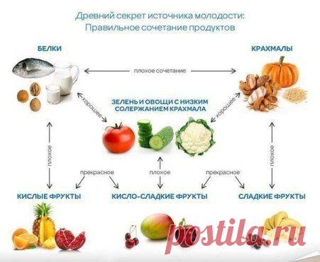 Совместимость продуктов питания