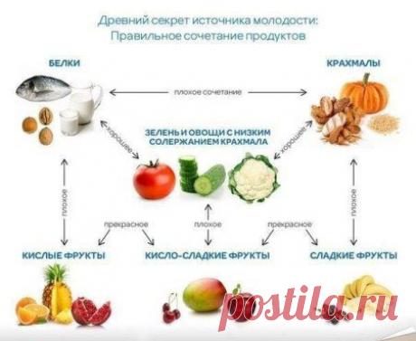 Совместимость продуктов питания
