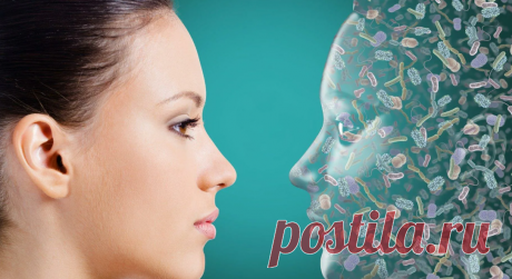 Микробиом кожи: ваш незаметный защитник На поверхности кожи обитает сложная экосистема, состоящая из миллиардов микроорганизмов — бактерий, грибов, вирусов и архей. Этот живой барьер, известный как микробиом кожи, выполняет критически...