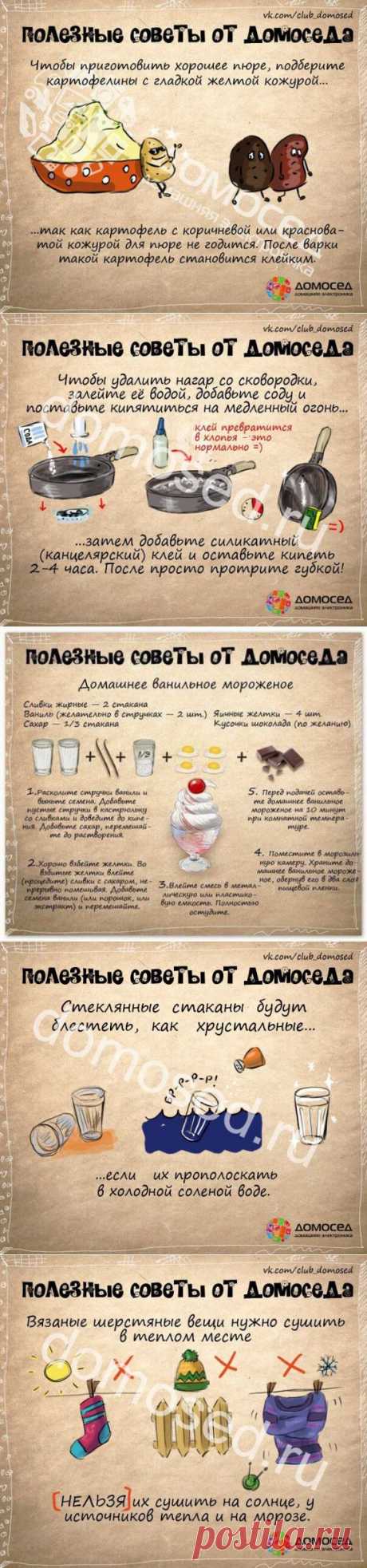 Что пригодится в жизни: полезные советы