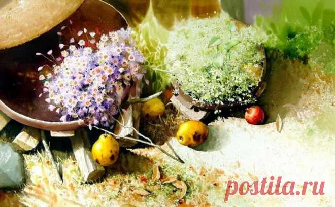 Корейский акварелист Shin Jong Sik. Натюрморт акварелью | Usenkomaxim.ru