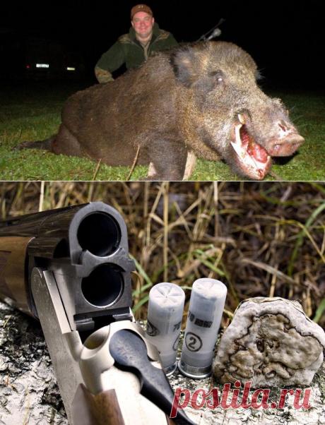 Календарь охотника. Июнь 2014