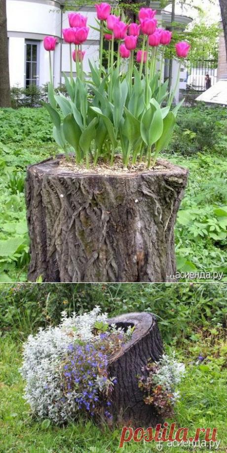 И даже пень в весенний день...: Группа Обустройство и украшение дачного участка