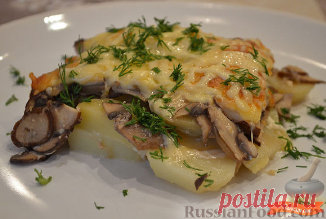 Шампиньоны с картошкой, 30 лучших рецептов