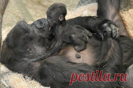 МАМИНА РАДОСТЬ!!!!!
۞Иþนµฉ ۞

Мамина радость