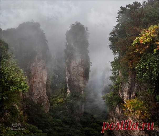 Национальный парк Чжанцзяцзе, Китай. Автор фото — Михаил Воробьев: