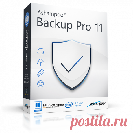 Ashampoo Backup Pro 11 - лучшая программа для резервного копирования | Выживи сам