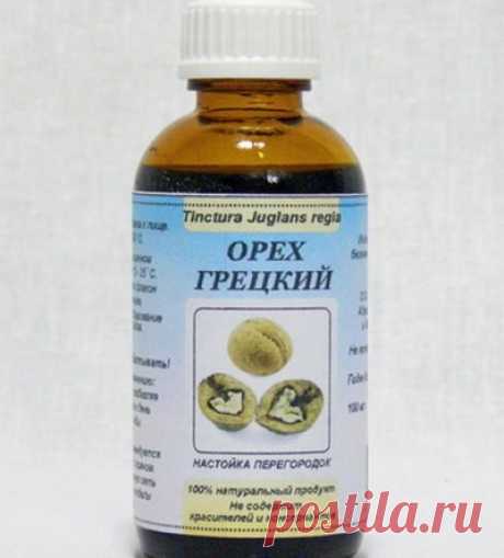 Перегородки грецких орехов - Позвоночник.инфо