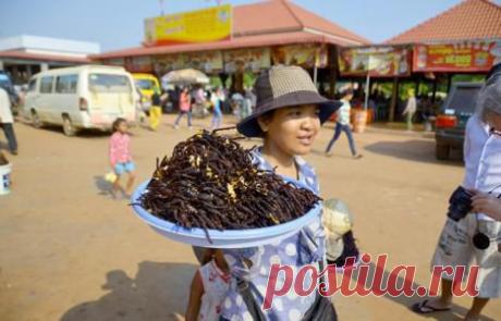 Кухня Таиланда - причудливое и манящее сочетание вкусов