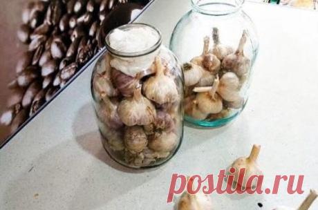 Спустя год — чеснок как свежий. Лучший способ хранения чеснока! Главное правильно все сделать!