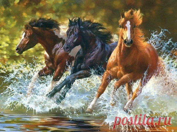 Новости