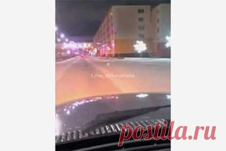 Песец пришел в российский город и попал на видео. Песец пробежался по заснеженным улицам Норильска и попал на видео. На кадрах, снятых одним из жителей города из окна автомобиля, животное бежит по проезжей части впереди машины. Затем песец сворачивает на перекрестке и скрывается в городской застройке, а автомобиль останавливается перед светофором.