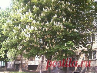 (1) Загрузка завершена