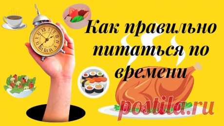 Как правильно питаться по времени - 4 основных приема пищи