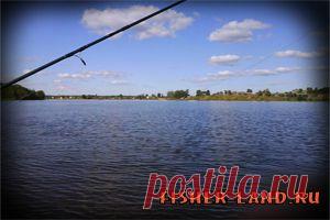 Подсечка рыбы. Наблюдения и Советы