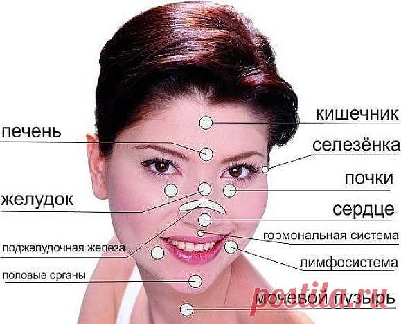 (1) Одноклассники