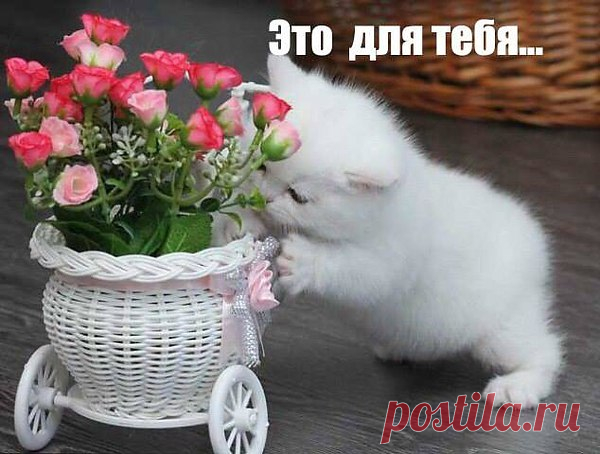 Интересные новости