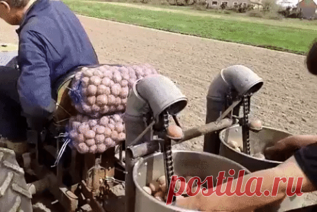 Одноклассники