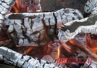 Удобрение с помощью древесной золы — Делимся советами