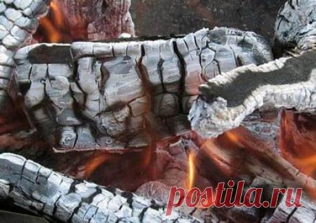 Удобрение с помощью древесной золы — Делимся советами