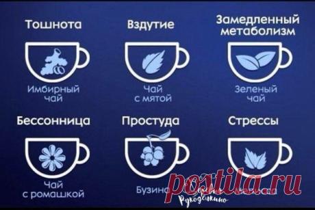 Чай на все случаи жизни!