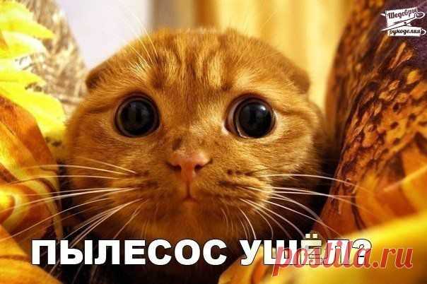 хх