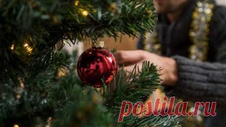 Kauf und Pflege: So bleibt der Weihnachtsbaum lange schön - SWR1 RP - SWR1