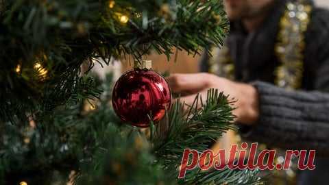 Kauf und Pflege: So bleibt der Weihnachtsbaum lange schön - SWR1 RP - SWR1