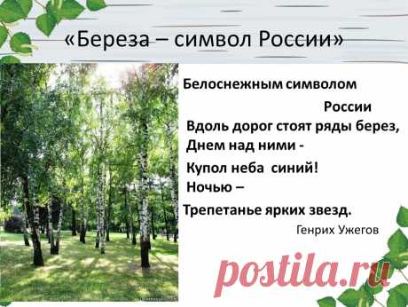 С Днем русской березы!