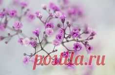 Pinterest • Всемирный каталог идей
