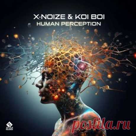 X-NoiZe, Koi Boi – Human Perception