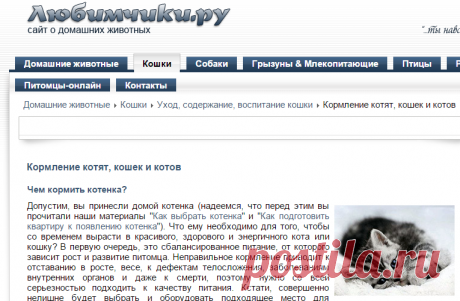 Чем кормить котенка, правильное питание кошек, каким кормом кормить кота, сухой корм для кормления котят, кошек, котов премиум класса - Любимчики.ру