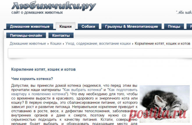 Чем кормить котенка, правильное питание кошек, каким кормом кормить кота, сухой корм для кормления котят, кошек, котов премиум класса - Любимчики.ру