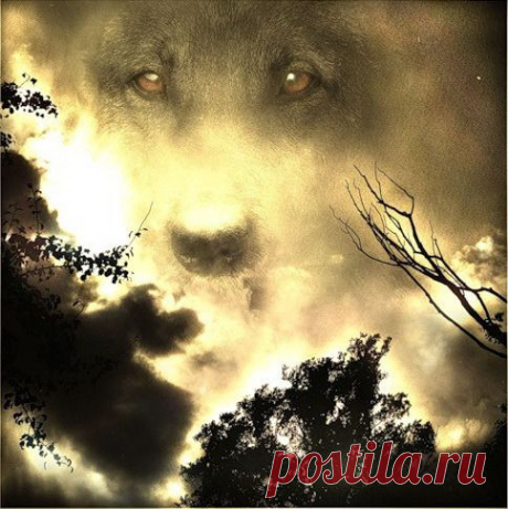 Мой Мир@Mail.Ru