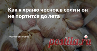 Как я храню чеснок в соли и он не портится до лета Расскажу, как я храню чеснок в соли и он не портится до лета.

