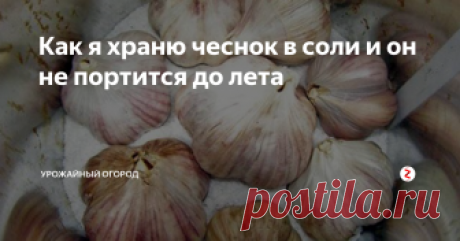 Как я храню чеснок в соли и он не портится до лета Расскажу, как я храню чеснок в соли и он не портится до лета.

