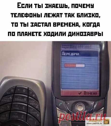 Весело и позитивно / Картинки: Приколы