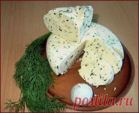 ТОР - 14 Подборка вкусных домашних сыров!

1.Домашняя моцарелла.

Ингредиенты:

На 2 порции:
1 л молока
125 г натурального йогурта
1,5 ч.л. соли (можно больше, кто как любит) получается не сильно солёная
1 ст.л. уксусной эссенции (25%)

Приготовление:

Молоко с солью нагреть, но не доводить до кипения. Добавить йогурт, перемешать, добавить уксус, хорошо перемешать и убрать с плиты.
Дуршлаг застелить чистой марлей свёрнутой примерно в 4 слоя, вылить туда свернувшееся молоко...