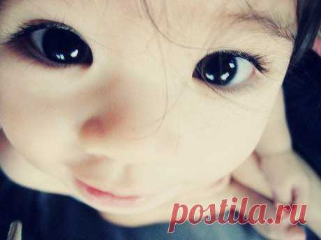 15+ Деток С Глазками Как У Кота В Сапогах, Из “Шрека”. | Лучшие истории со всего мира