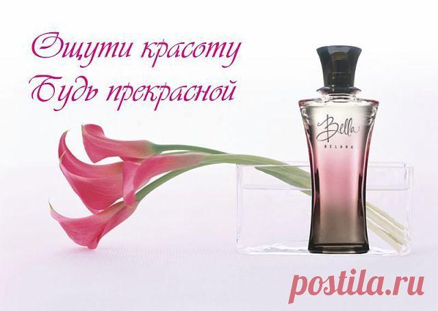 Белла Беллара 1550 руб