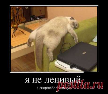 смешные демотиваторы - Ржака :-)
