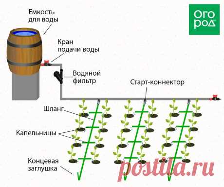Несколько идей, как сделать капельный полив на даче своими руками | Дела огородные (Огород.ru)