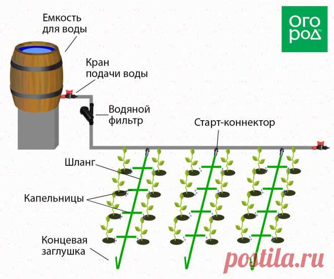 Несколько идей, как сделать капельный полив на даче своими руками | Дела огородные (Огород.ru)