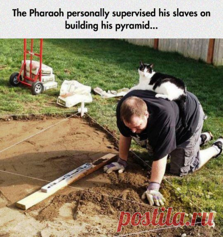 Фараон лично руководил рабами на строительстве пирамид... / Неформальный Английский