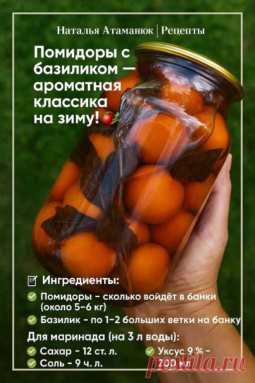 Помидоры с базиликом — ароматная классика на зиму! 🍅🌿... | Интересный контент в группе Наталья Атаманюк | Рецепты