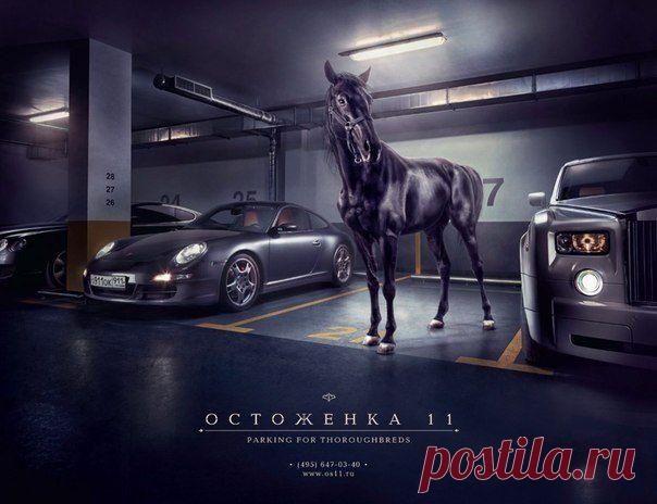 Реклама парковки в элитном жилом комлетолько для чистокровных / Занимательная реклама